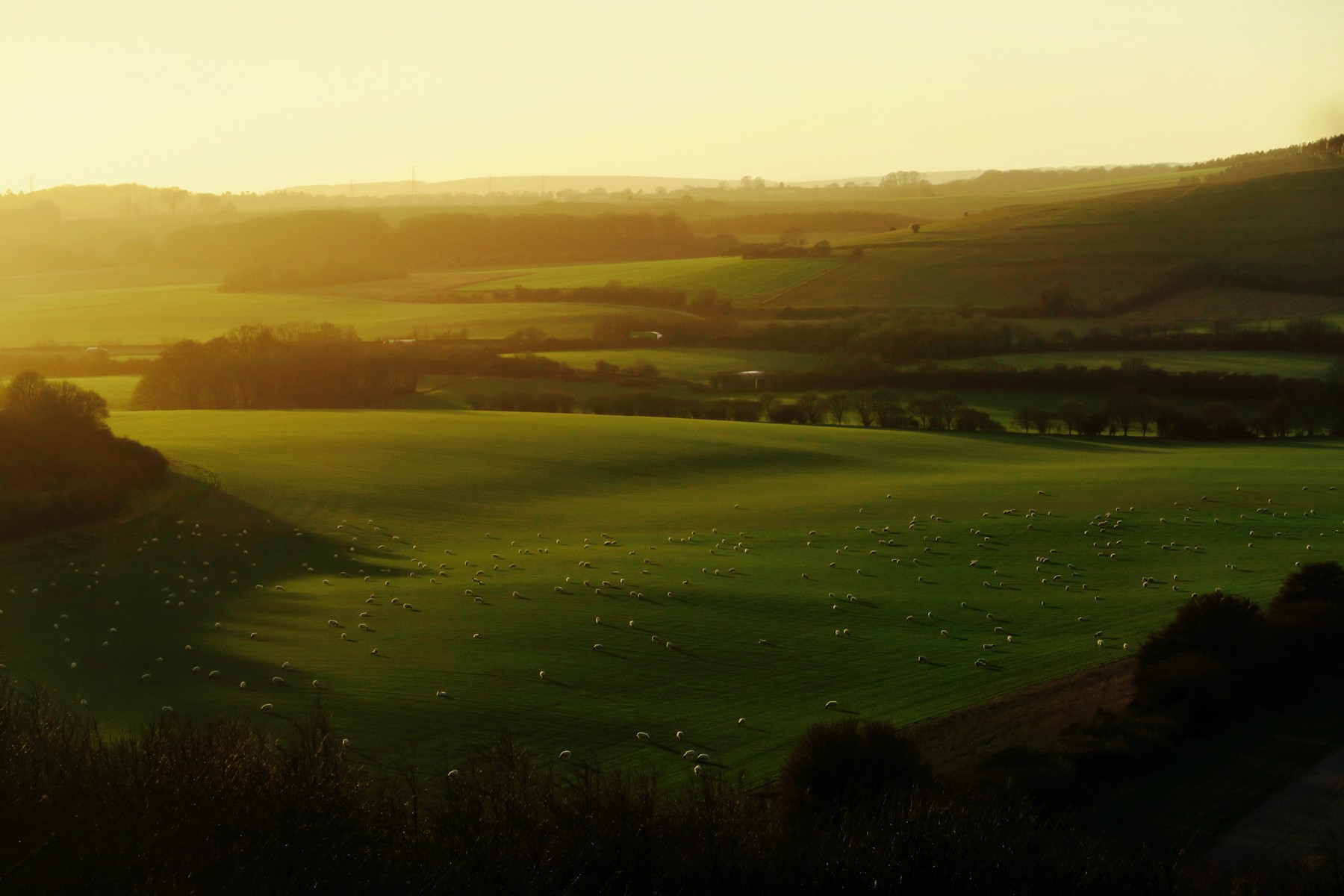 The same photograph before Halation grading